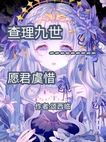 查理九世——愿君虞惜