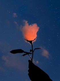 細(xì)碎的夢啊