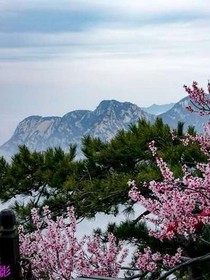 桃花源来一起种田