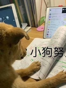感万物