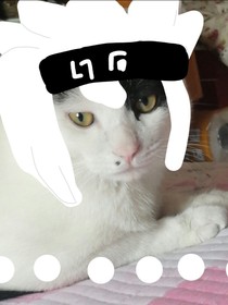 戀愛(ài)滄瀾