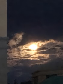 重生之驚艷天下