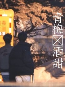 青梅酿酒甜