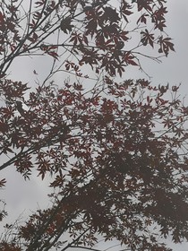 宽恕我