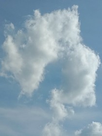 重生——我在娱乐圈当锦鲤