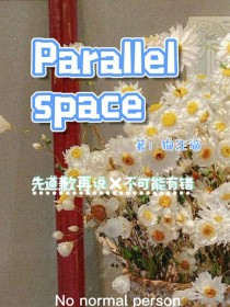 Parallelspace