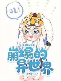 奧魯婭公主之崩塌的異世界