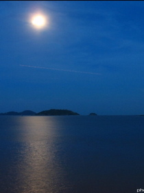 流浪，海洋