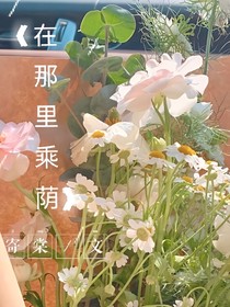 在那里乘荫