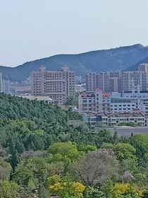 将与你同行