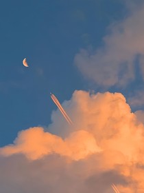 鹿小姐，你又驚艷全球了
