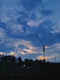 眾生之門(mén)：無(wú)限流存活