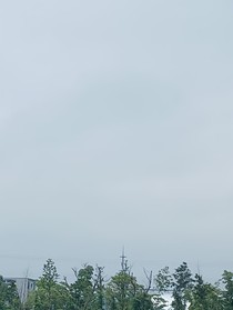 尋風(fēng)而等