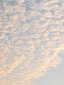 我好想你，可我连你叫什么都不知道