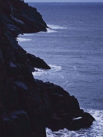 陳述，對不起