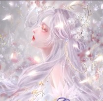 白月映永恒