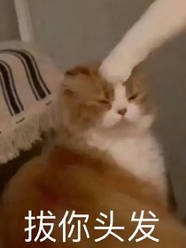 （千古玦尘）给配角一个机会