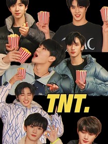 TNT：树语