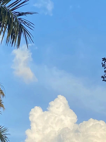 你是我最后的温暖