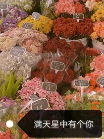 满天星中有个你
