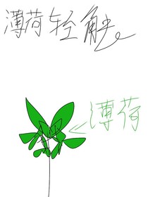 薄荷輕觸-d879