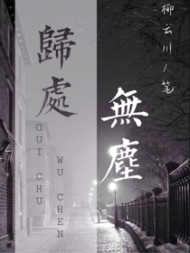 归处无尘
