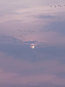 涂林閣封面鋪