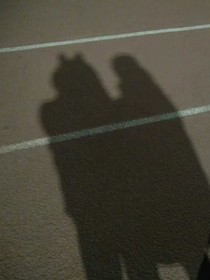 巧遇爱情……