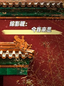 綜影視：今我來思