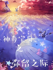 神奇宝贝之弥留之际