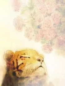 心有猛虎……细嗅蔷薇