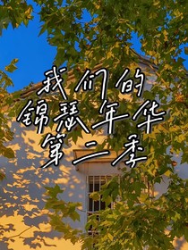 我們的錦瑟年華2