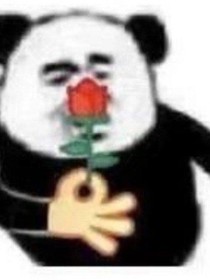 粉卞學院踏碼會談