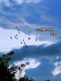 他載著光走來