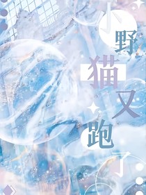 小野猫又跑了