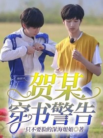 賀某穿書警告