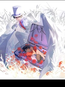 怪盗家的侦探