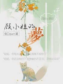 顾小姐的梦