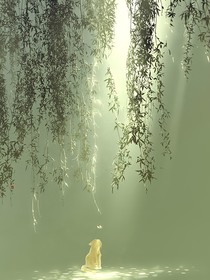 星空之旅的味道是什么