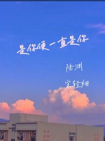 是你便一直是你-d202
