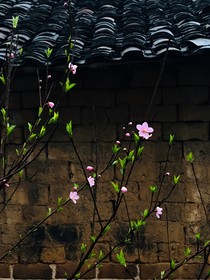 青春未命名