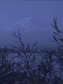 念念不固