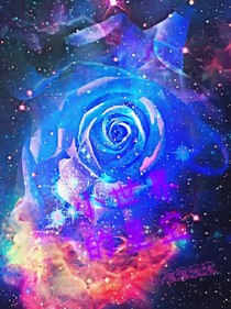 小世界的星空