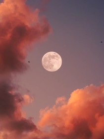 我宠你是天理