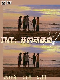 TNT：我的动脉血