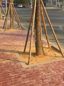 我的老公是我哥哥