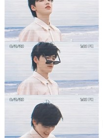 送你一只小海螺