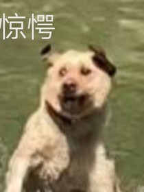 震驚！我愛上了個老家伙！