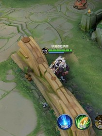 王者农药之心