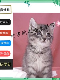 叶罗丽之喵女熙熙